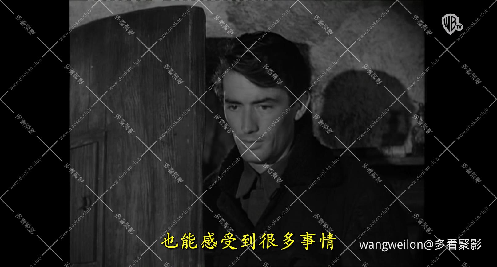 光荣岁月 Days of Glory(1944) HDTV.H264 原声中字.mkv_20260711_200939.439.jpg