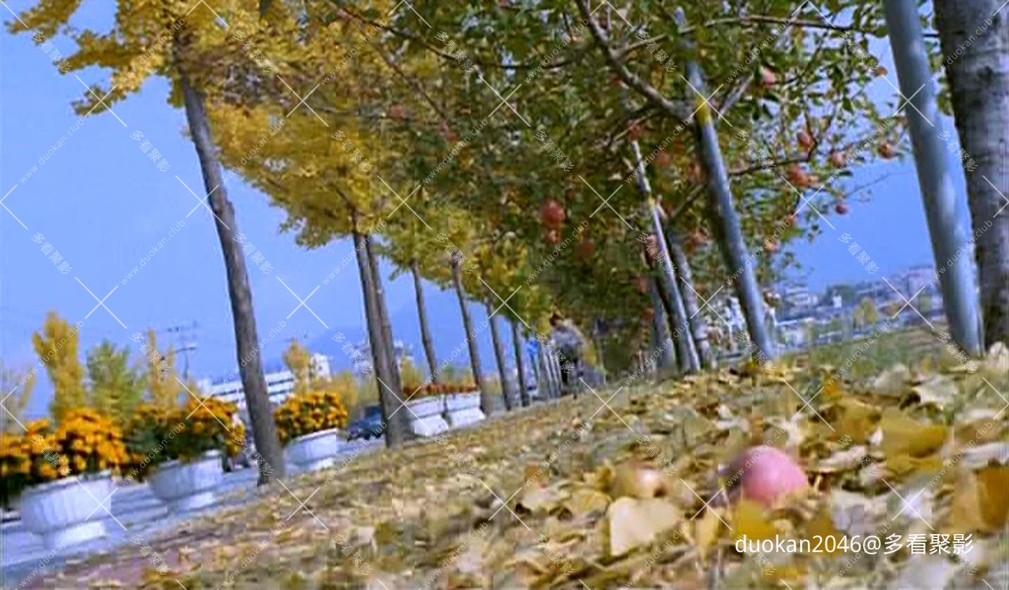 The.Beauty.in.Dream.2002.DVDRip.DD.5.1.x264-MOMOHD.mkv_20260713_103833.785.jpg