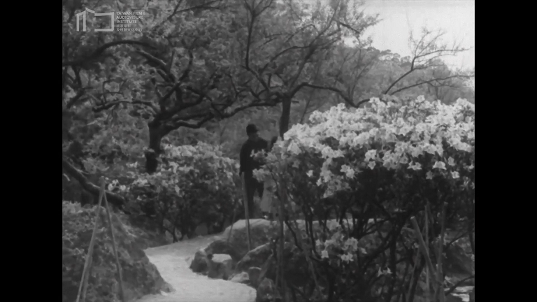 videoframe_1070402.png