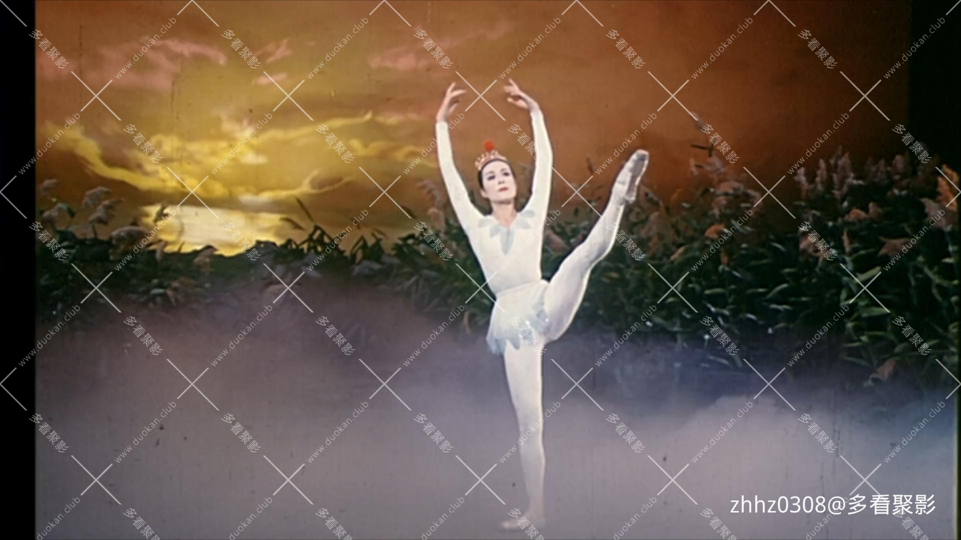 飞来的仙鹤 1982.mp4_20260718_133853250.jpg