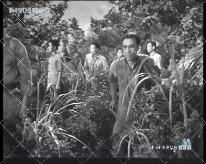 南岛风云.mp4_20260729_111750147.jpg