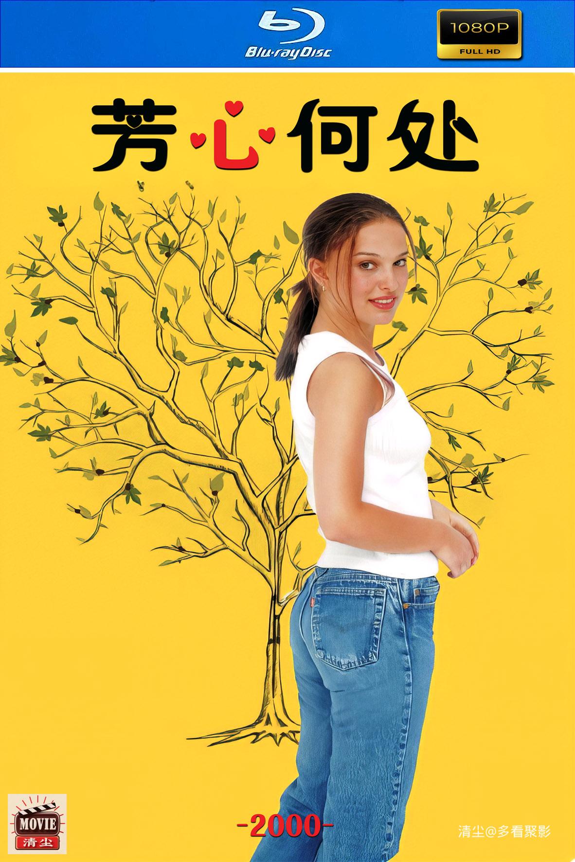 版面图.jpg