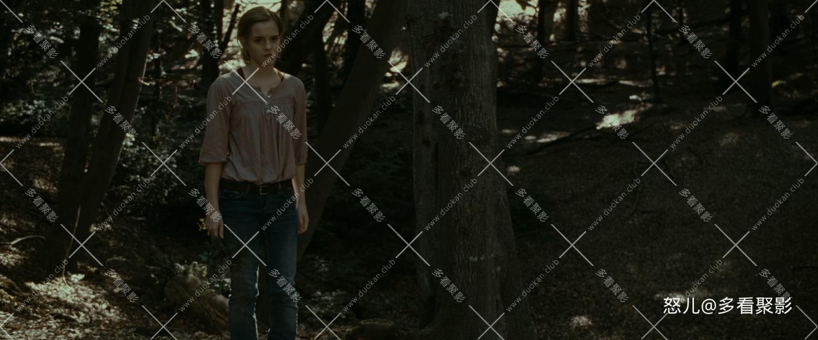 哈利·波特与死亡圣器(上).Harry.Potter.and.the.Deathly.Hallows.Part.1.2010.1080p..jpg