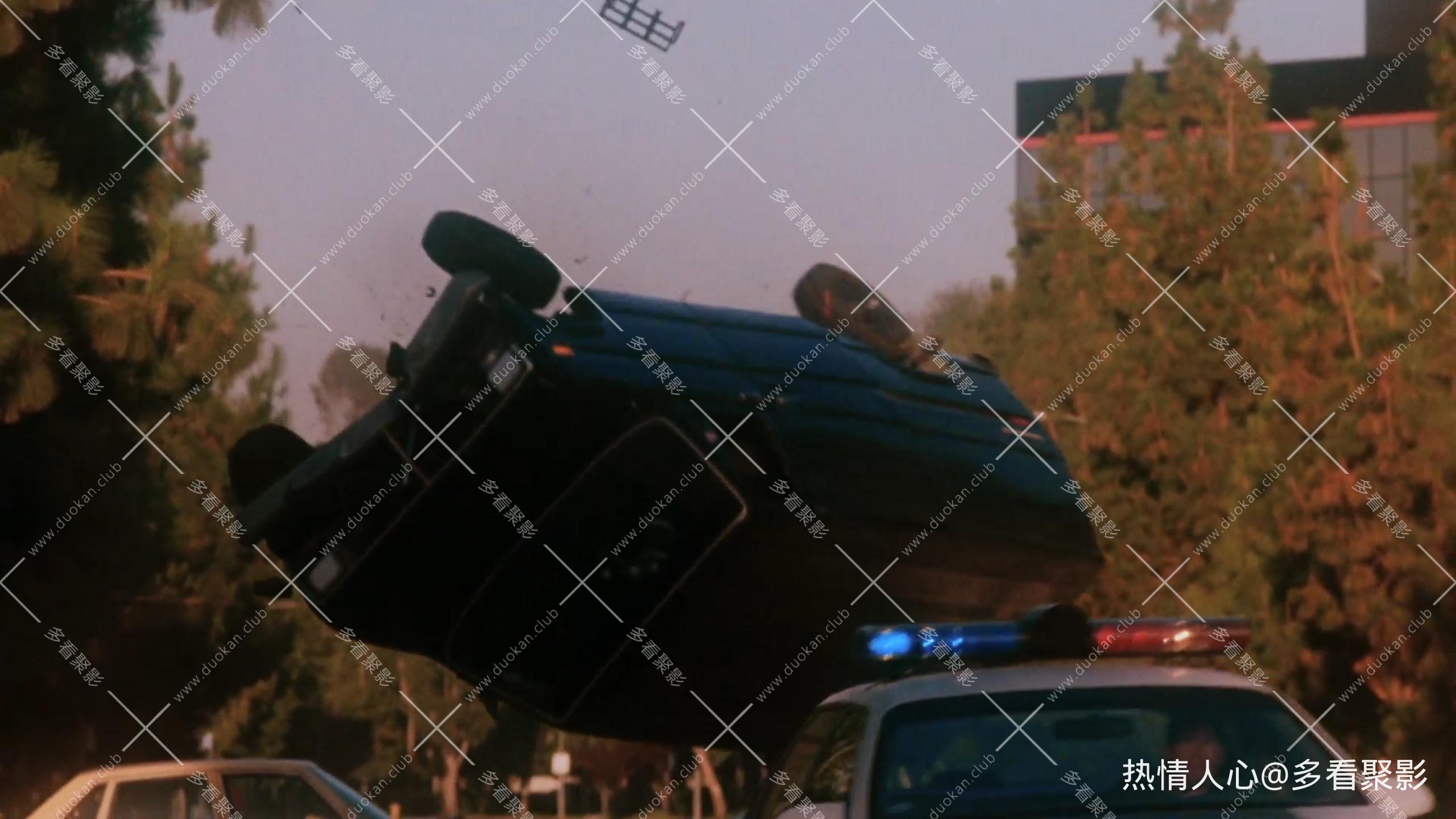 435667jpg.jpg