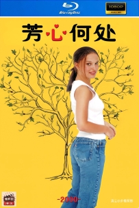 [115] 芳心何处-2000-英语&简英特效字幕-1080P-6G-MKV